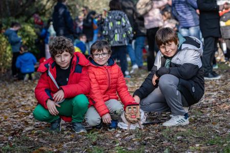 Imagen LAS TRONCAS DE NAVIDAD YA ESTÁN EN ALTORRICÓN