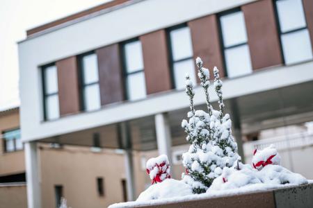 Imagen NEVADA DEL 5 DE ENERO EN ALTORRICÓN