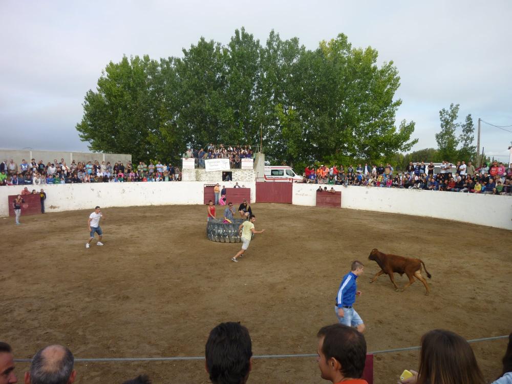 Imagen Plaza de Toros